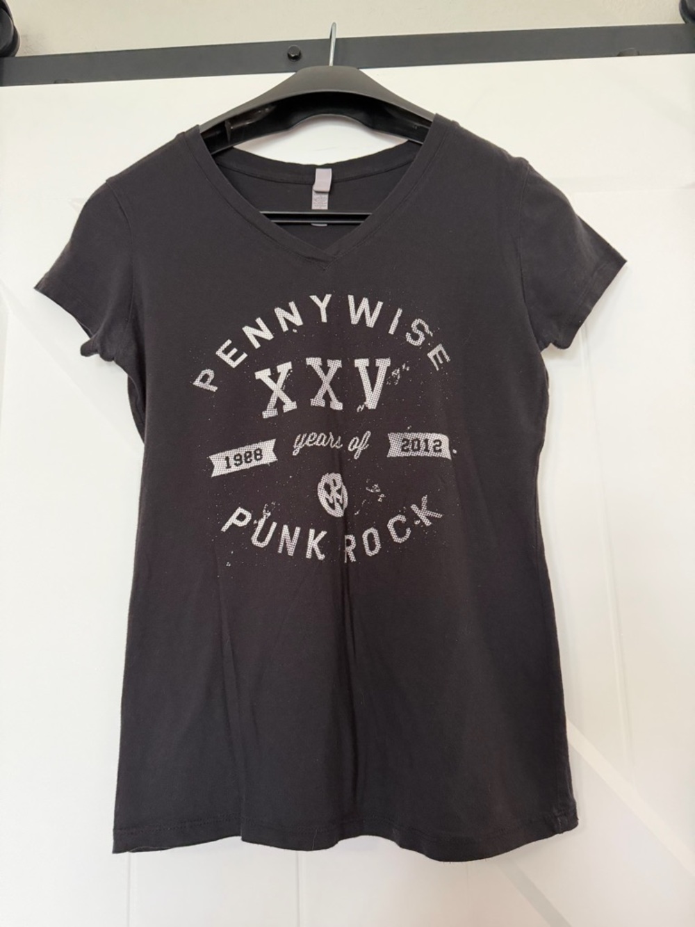 Pennywise 25th Anniversary Punk Rock Concert Graphic Tee